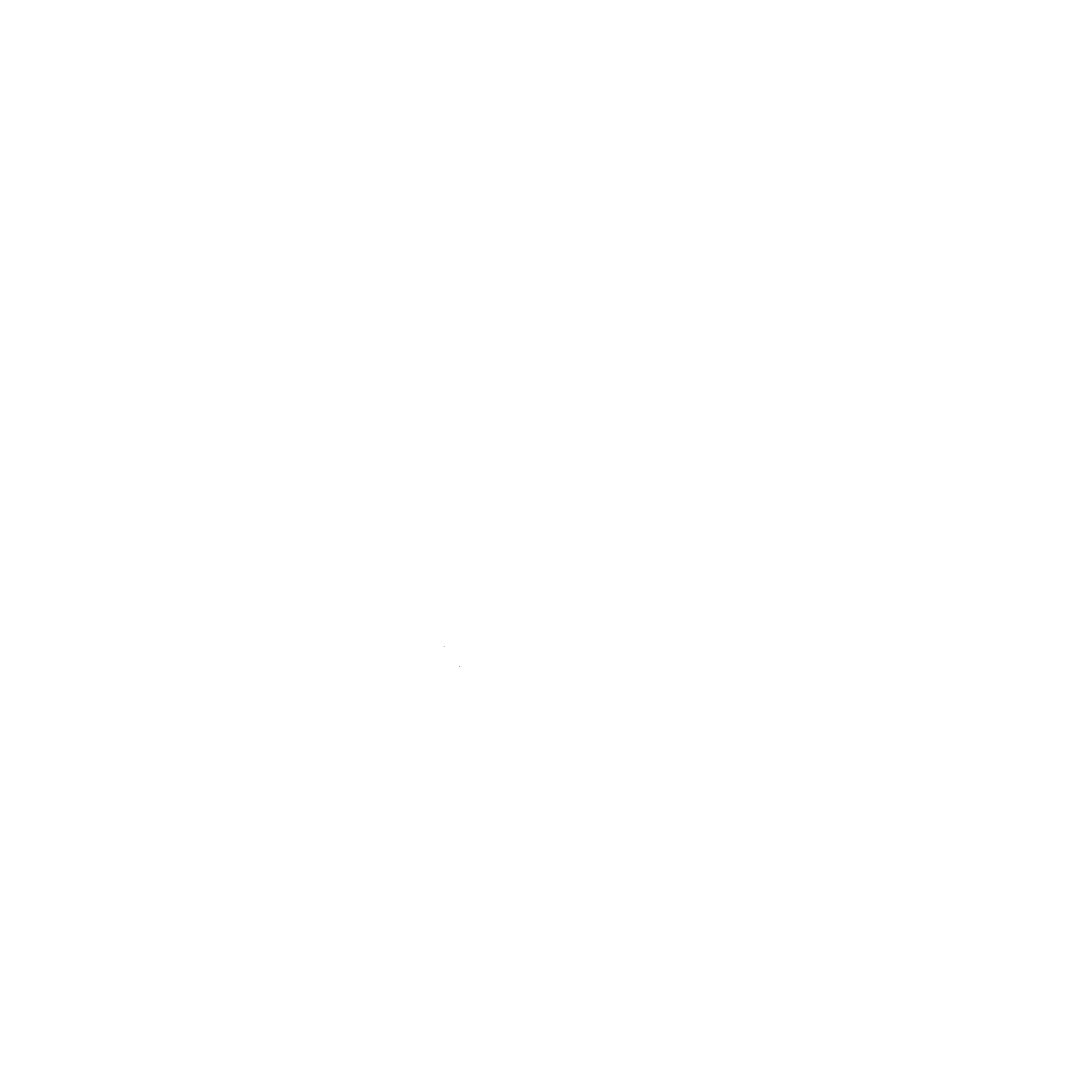 nayabijoux white logo